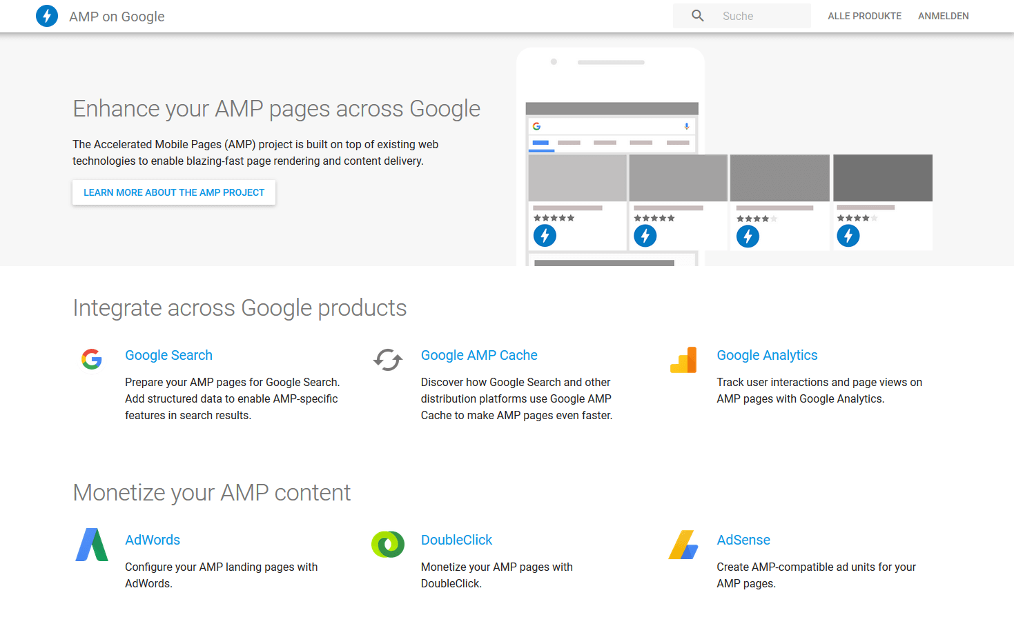 Screenshot Google AMP Website